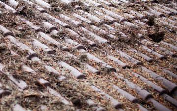 Blacknest roof cleaning companies