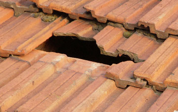 roof repair Blacknest