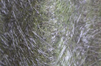 Blacknest fibreglass roof work