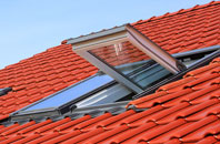 Blacknest roof window